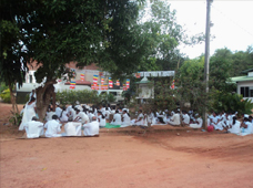 Ramya Horticulture