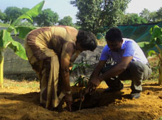 Ramya Horticulture